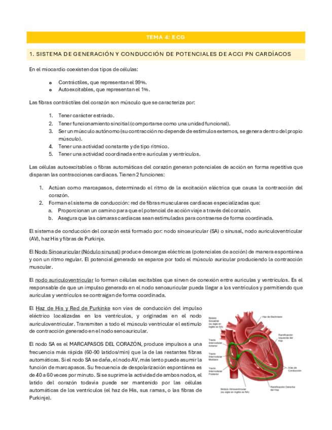 Miniatura del documento Tema-4.pdf