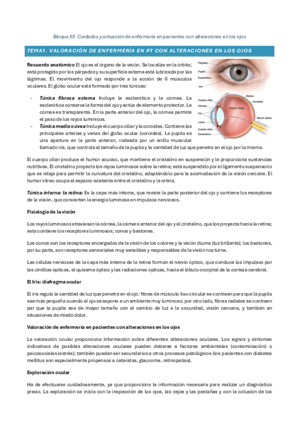 Miniatura del documento Bloque-XII.pdf