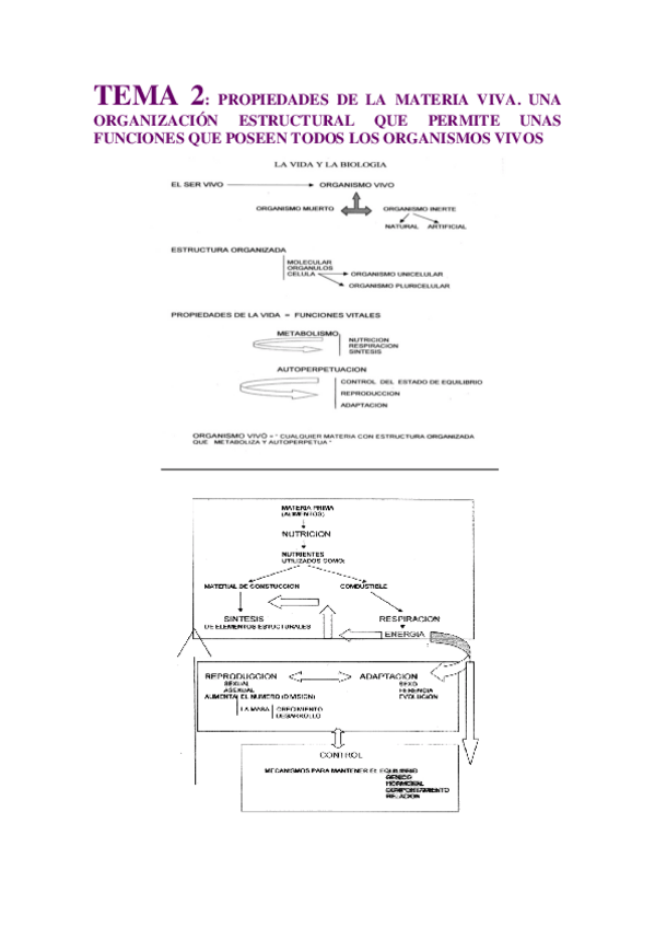 Miniatura del documento TEMA-2-apuntes.pdf