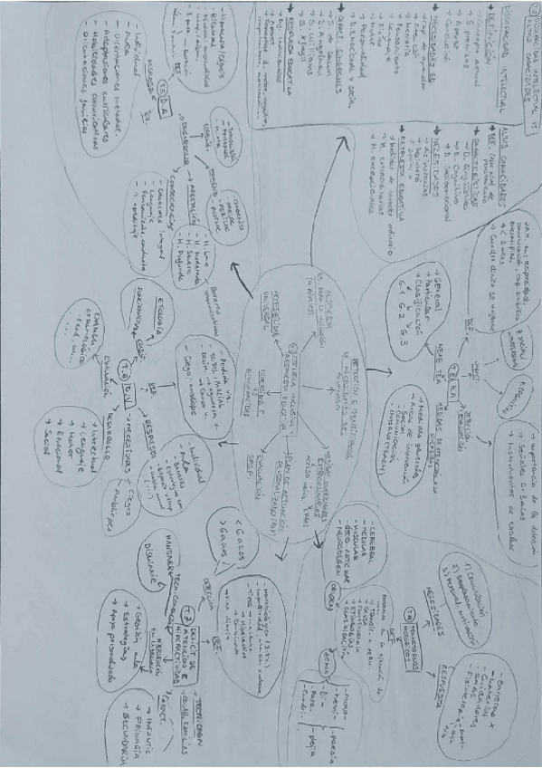 Miniatura del documento Esquema-TODOS-LOS-TEMAS-muy-resumido.pdf