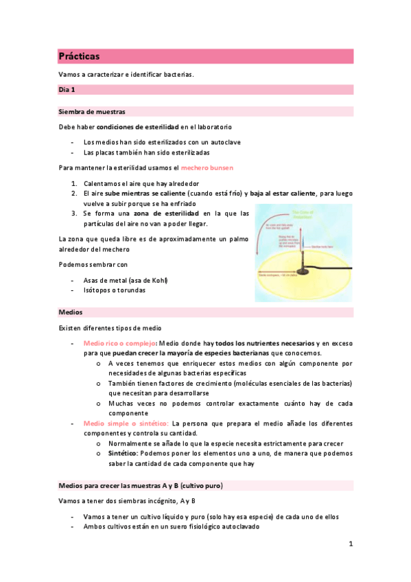 Miniatura del documento Practiques-micro.pdf