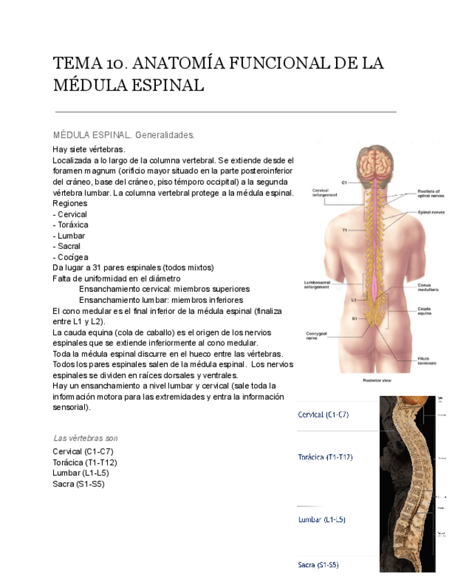 Miniatura del documento APUNTES-FPB-t10.pdf