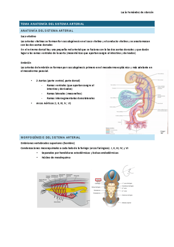 Miniatura del documento Tema-12-RESCAR.pdf