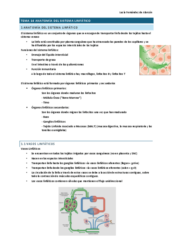 Miniatura del documento tema-14-RESCAR.pdf