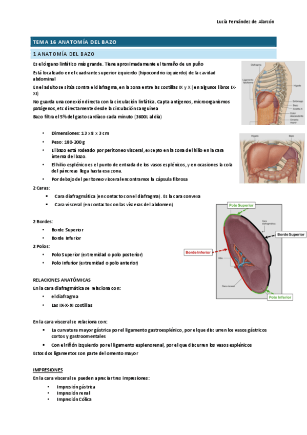 Miniatura del documento tema-16-RESCAR.pdf