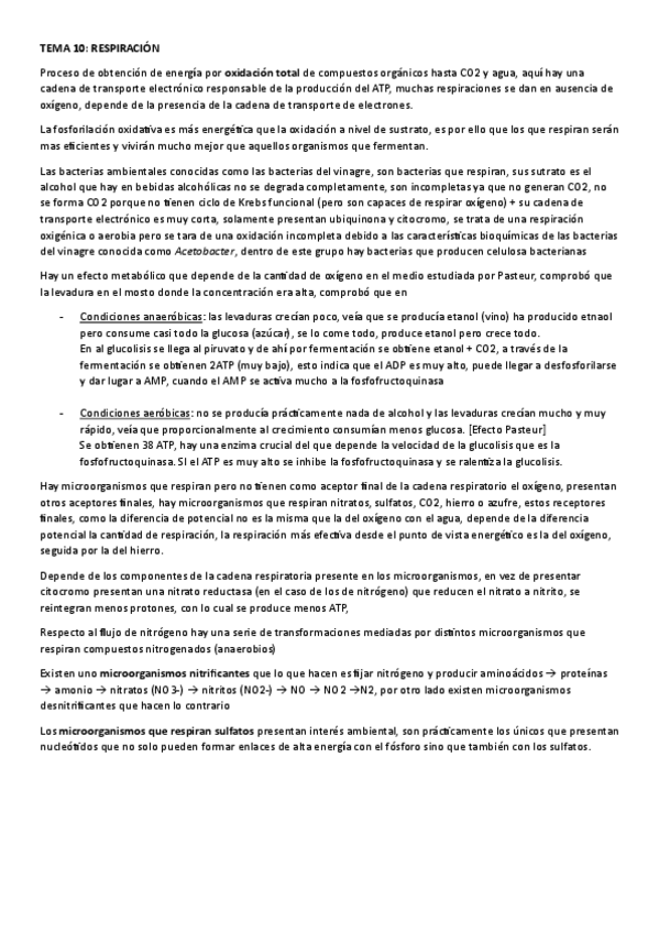 Miniatura del documento TEMA-10.-RESPIRACION.pdf
