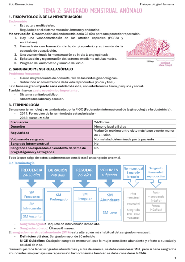 Miniatura del documento T1-Sangrado-menstrual-anomalo.pdf