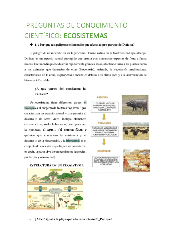 Miniatura del documento ECOSISTEMAS.pdf