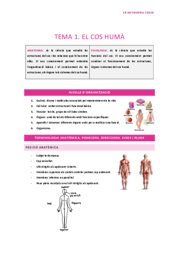 Miniatura del documento Tema-1.-El-cos-huma.pdf