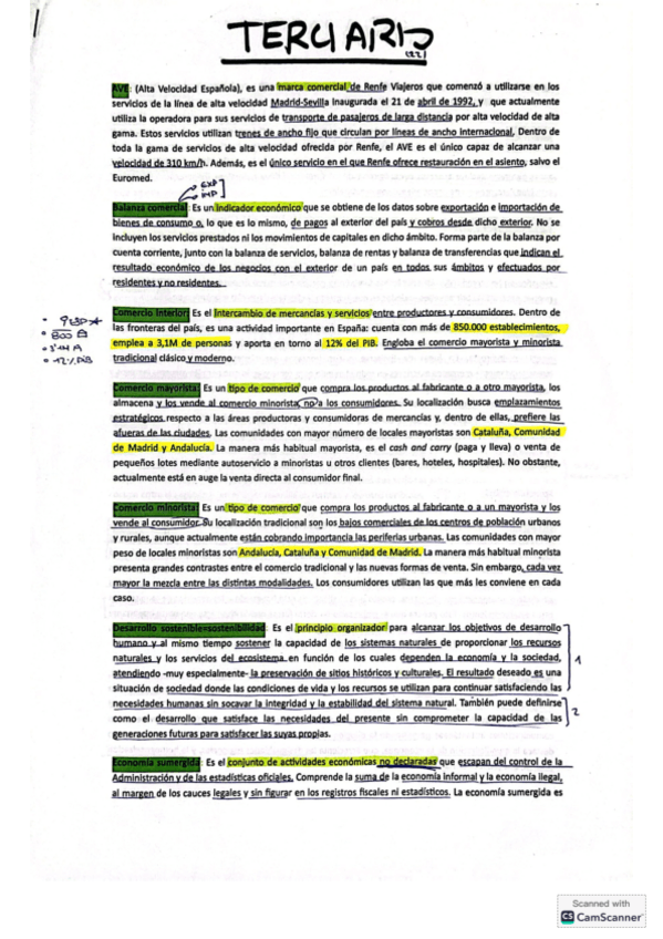 Miniatura del documento Sector-terciario-Definiciones-Geografia.pdf