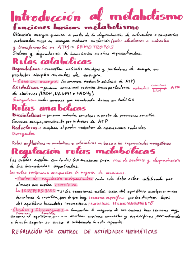 Miniatura del documento Metabolismo-carbohidratos.pdf