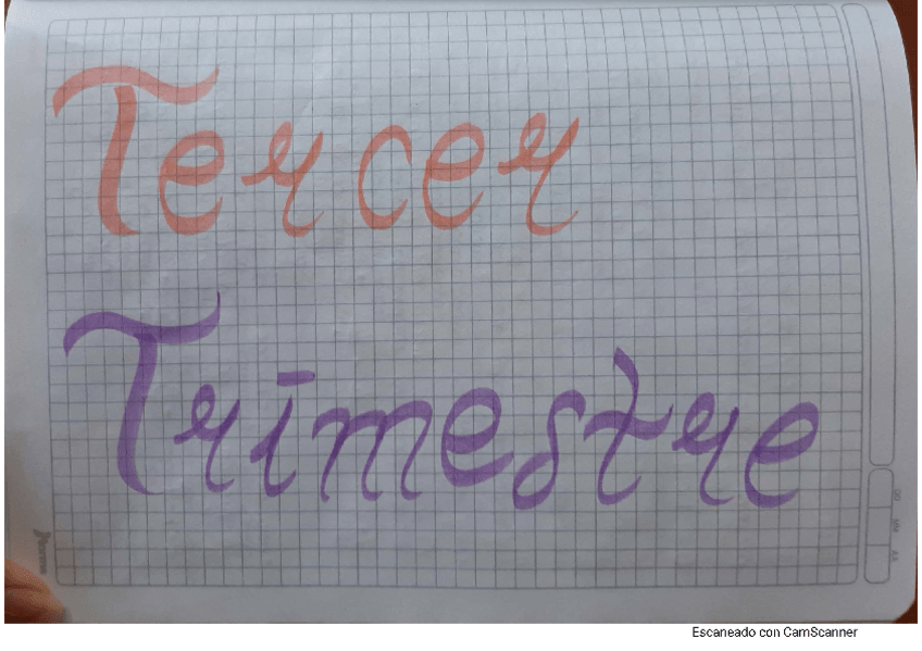 Miniatura del documento TAREA-24-FISICA-802.pdf