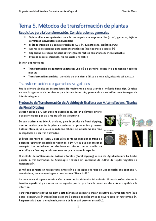 Miniatura del documento Tema-5.pdf