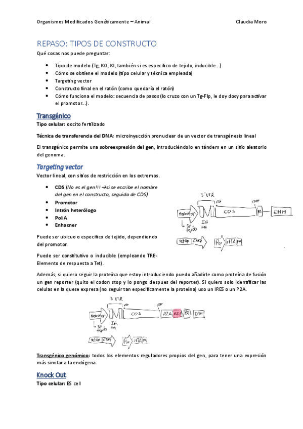 Miniatura del documento Repaso-tipos-de-constructo.pdf