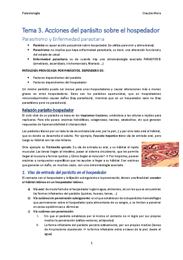 Miniatura del documento Tema-3.pdf