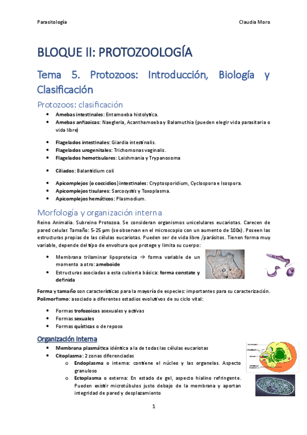 Miniatura del documento Tema-5.pdf