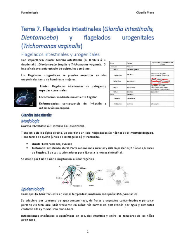 Miniatura del documento Tema-7.pdf
