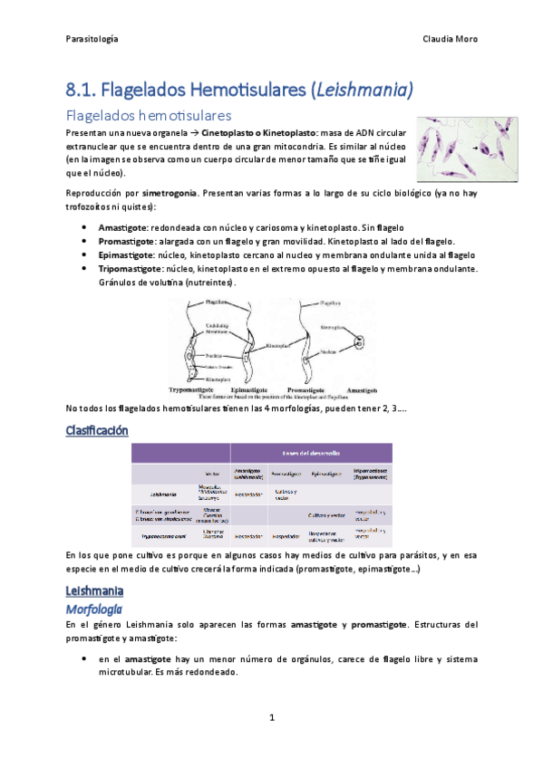 Miniatura del documento Tema-8.1.pdf