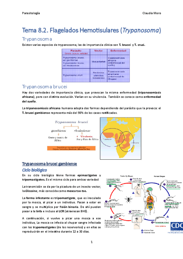Miniatura del documento Tema-8.2.pdf