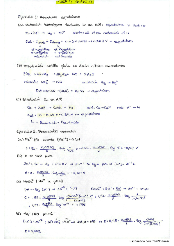 Miniatura del documento hoja-4.pdf