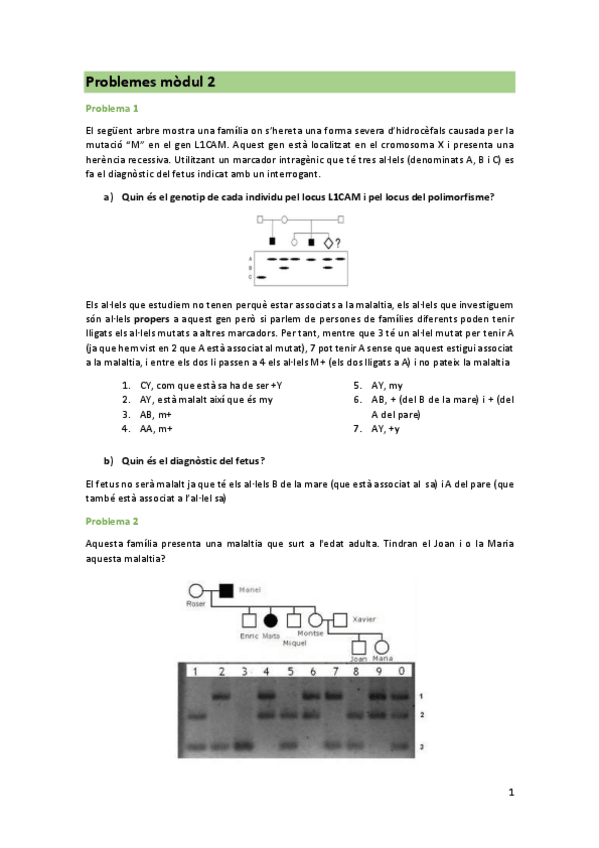 Miniatura del documento Problemes-modul-2.pdf