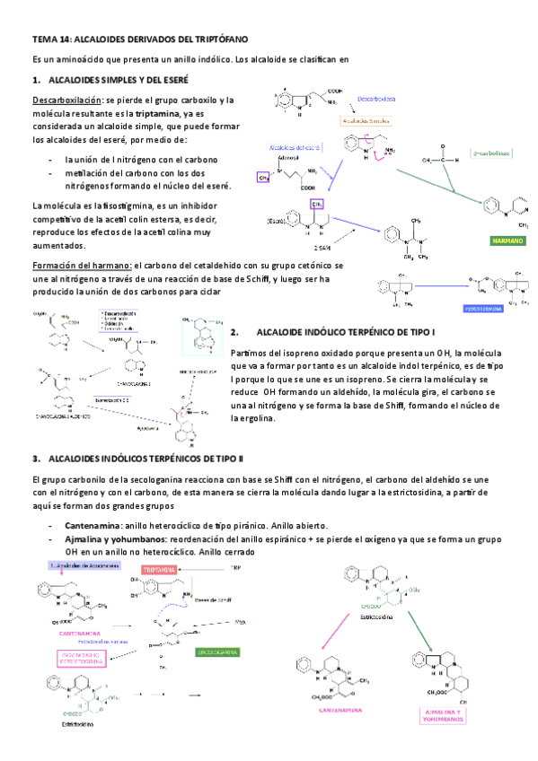 Miniatura del documento TEMA-14.-ALCALOIDES-DERIVADOS-DEL-TRIPTOFANO.pdf