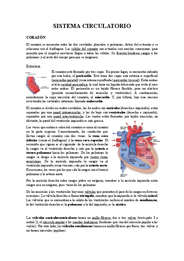 Miniatura del documento UNIT-22-23-24-ARA.pdf