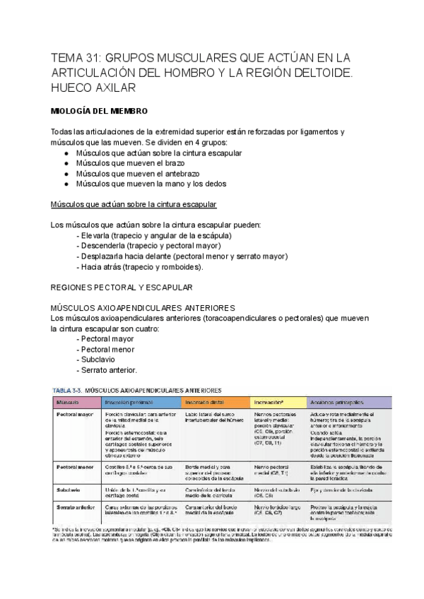 Miniatura del documento TEMA-31-anatomia.pdf