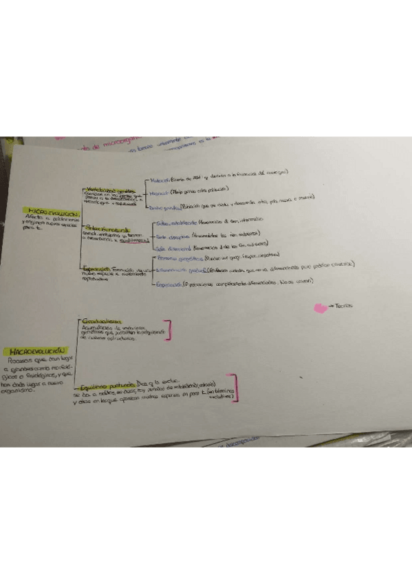 Miniatura del documento mecanismos-evolutivos.pdf