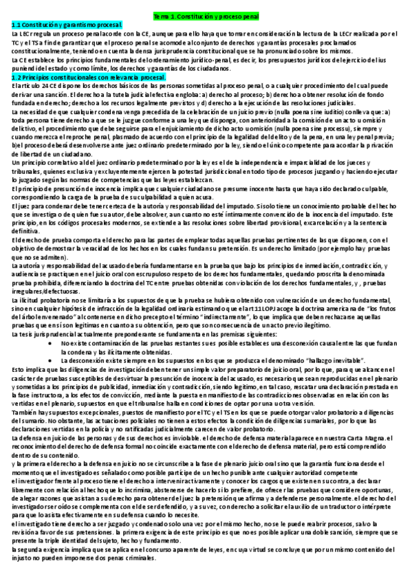 Miniatura del documento parte-penal-resumen.pdf