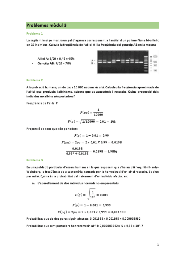 Miniatura del documento Problemes-modul-3.pdf