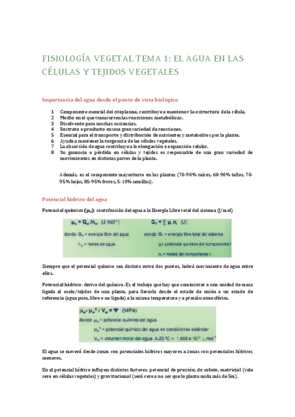 Miniatura del documento FISIOLOGÃ-A VEGETAL RESUMEN.pdf