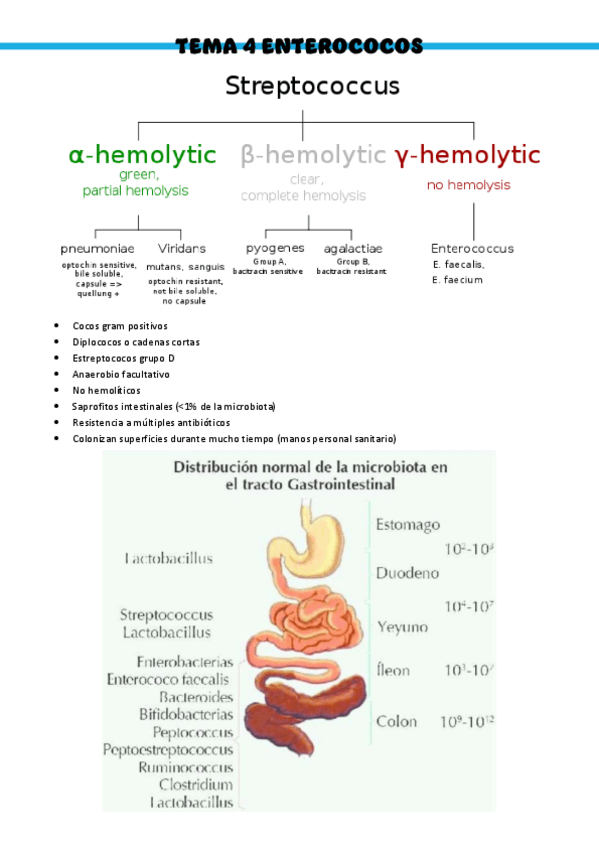 Miniatura del documento Patologia-medica-general-T4-Enterococos.pdf