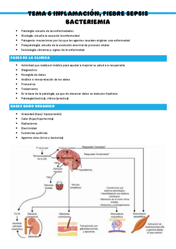 Miniatura del documento Patologia-medica-general-T6-Inflamacion-fiebre-sepsis-y-bacteriemia.pdf