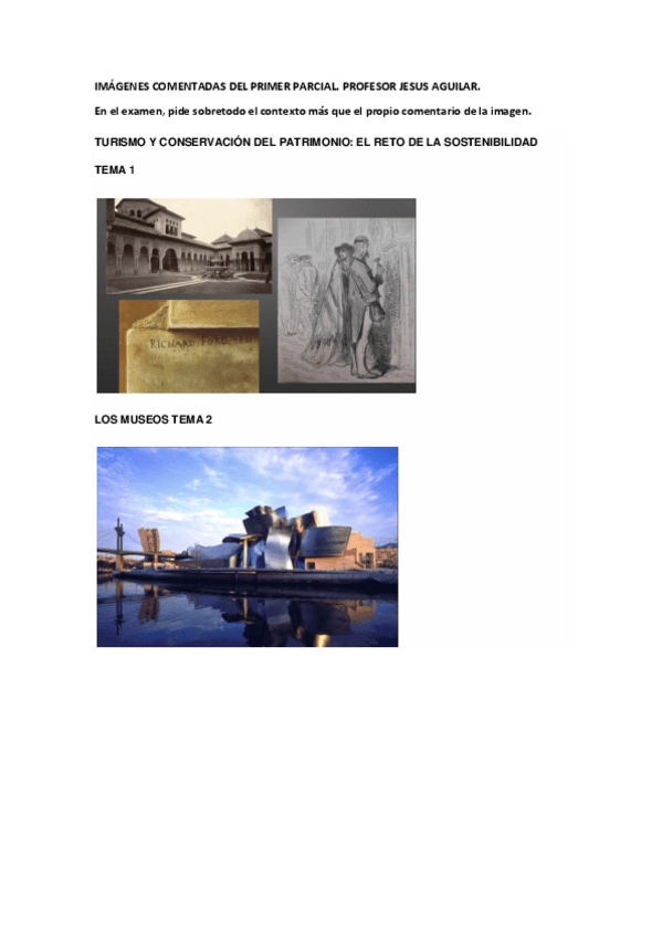 Miniatura del documento IMÁGENES COMENTADAS DE EXAMEN.pdf