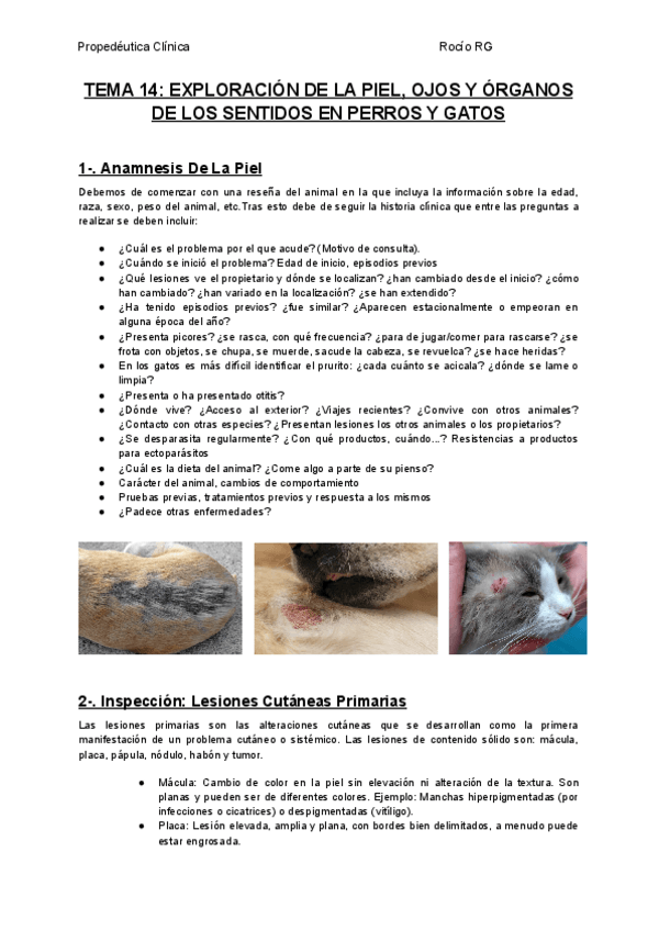 Miniatura del documento TEMA-14-EXPLORACION-DE-LA-PIEL-OJOS-Y-ORGANOS-DE-LOS-SENTIDOS-EN-PERROS-Y-GATOS.pdf
