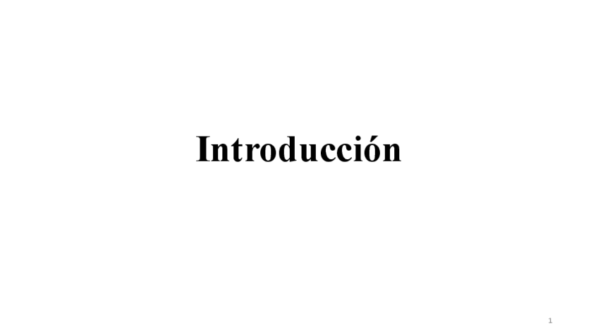 Miniatura del documento Introduccion.pdf