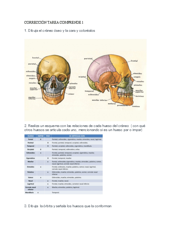 Miniatura del documento Ejercicios-de-comprende.pdf