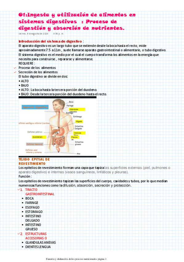 Miniatura del documento Funcion-y-disfuncion-de-los-proceso-nutricionales.pdf
