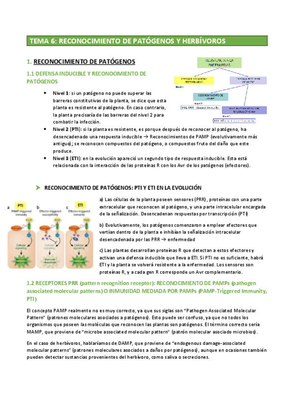 Miniatura del documento MET 2º - TEMA 6.pdf