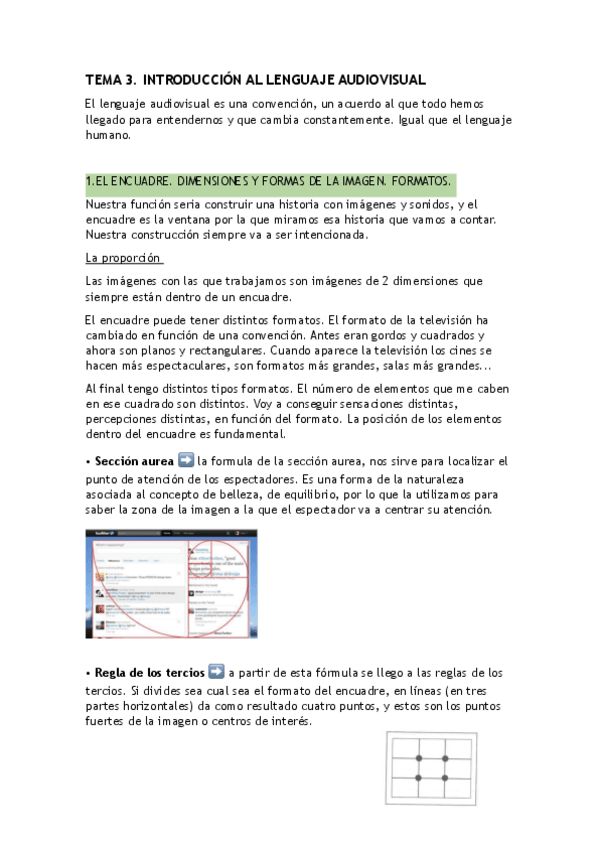 Miniatura del documento Tema 3. Medios audiovisuales (Antonio).pdf