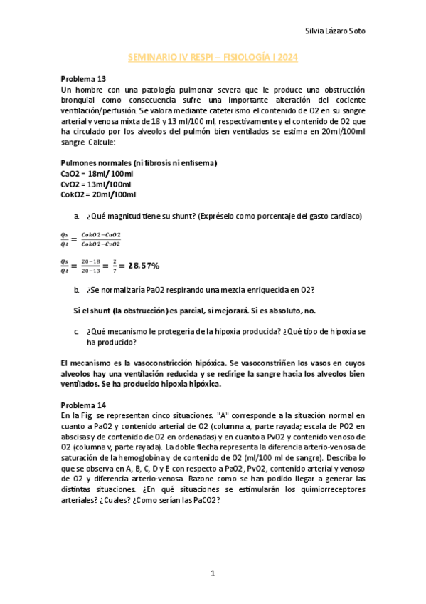 Miniatura del documento SEMINARIO-IV-RESPI.pdf