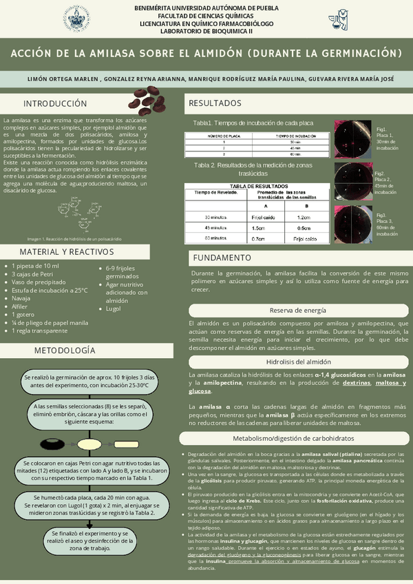 Miniatura del documento Cartel-2-Bioquimica-LAB-II.pdf