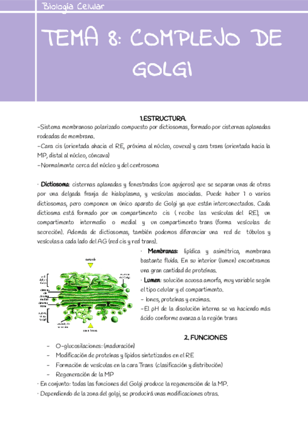 Miniatura del documento Tema-8-complejo-de-Golgi.pdf