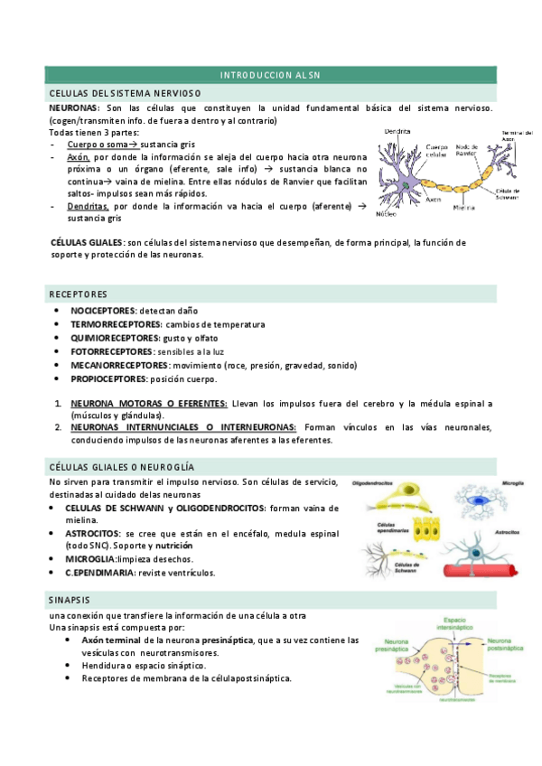 Miniatura del documento Intro-SN.pdf