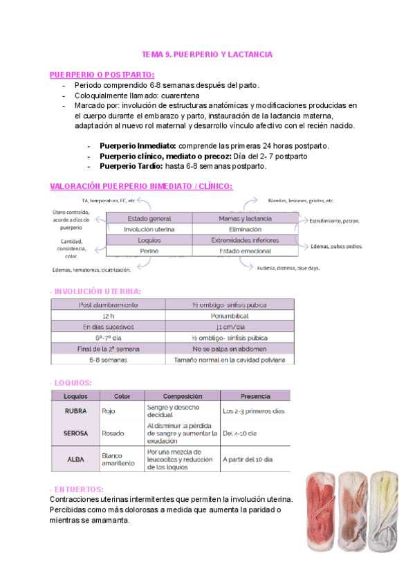Miniatura del documento TEMA-9.-PUERPERIO-Y-LACTANCIA-7.pdf