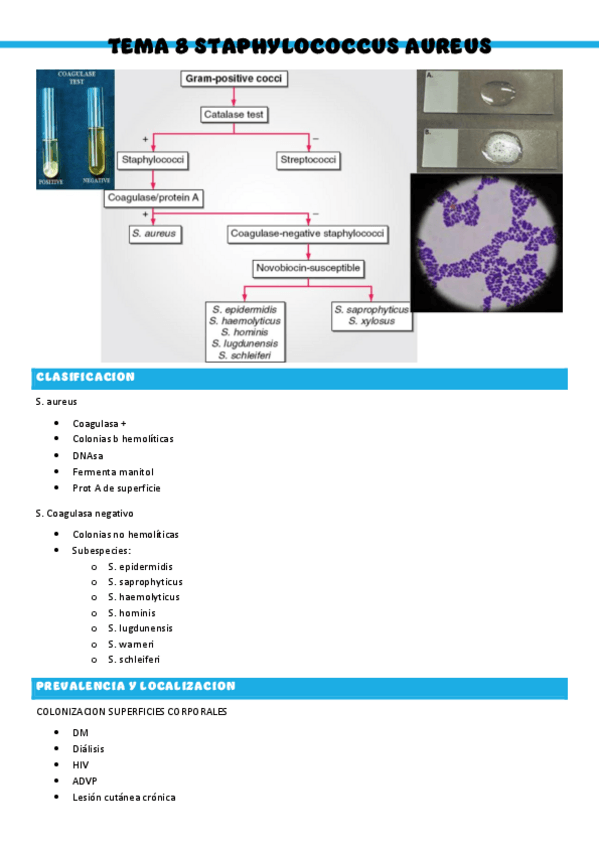 Miniatura del documento Patologia-medica-general-T8.pdf