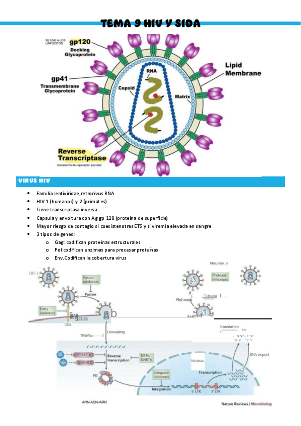 Miniatura del documento Patologia-medica-general-T9.pdf