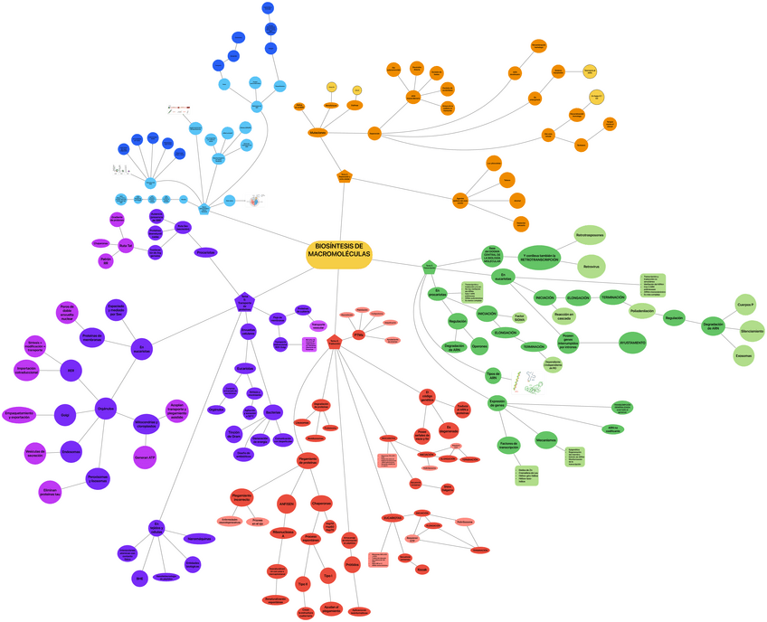 Miniatura del documento Mapa-mental-Biosintesis.pdf