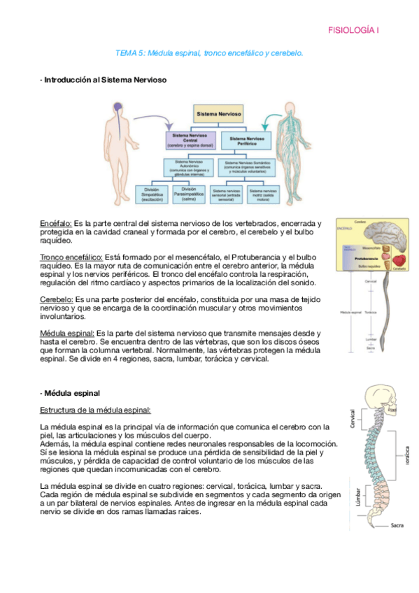 Miniatura del documento Fisiologia-T5.pdf